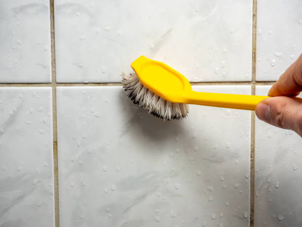 Best Home Mold Removal  in Mahomet, IL
