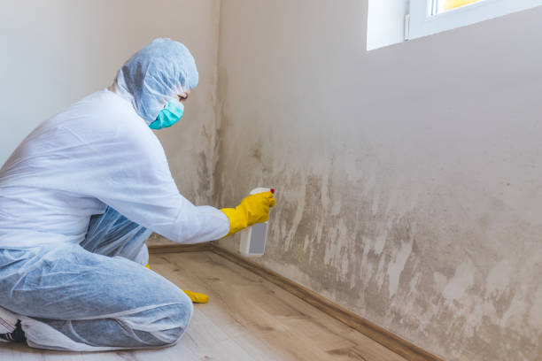 Crawl Space Mold Removal in Mahomet, IL