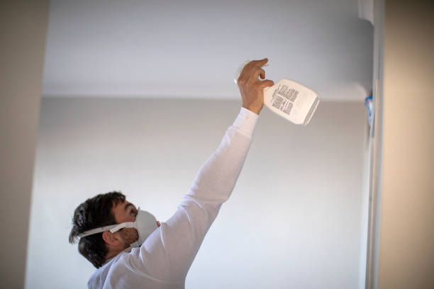 Best Fast Mold Removal  in Mahomet, IL
