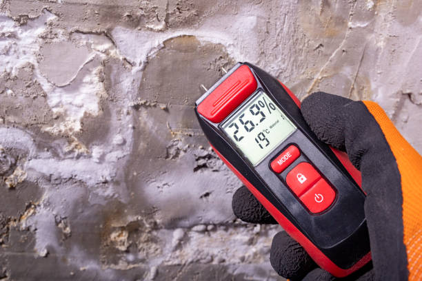 Best Toxic Mold Removal  in Mahomet, IL