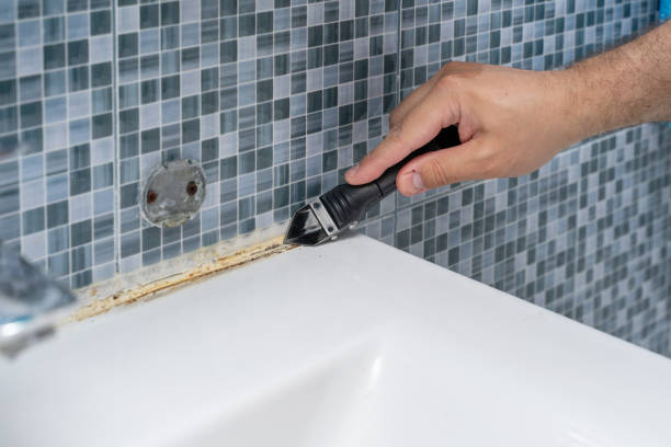 Best Local Mold Removal Service  in Mahomet, IL