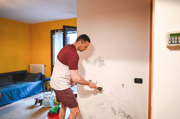 Best Professional Mold Removal  in Mahomet, IL