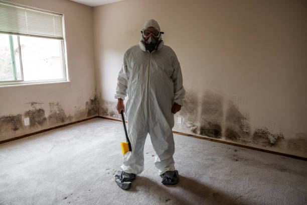 Best Crawl Space Mold Removal  in Mahomet, IL